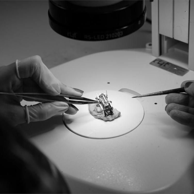 EMT hangszedők személyre szabása