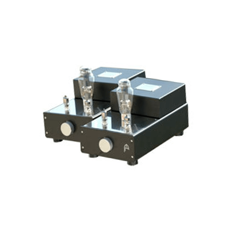 Audion Golden Night Anniversary 300B