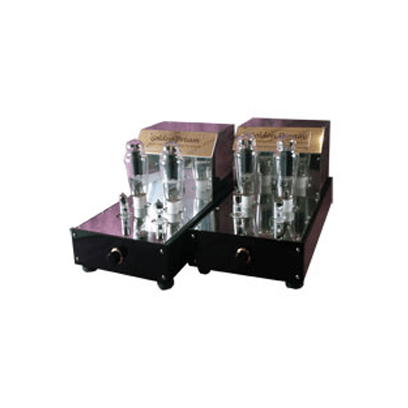 Audion Golden Dream 300b SCSE